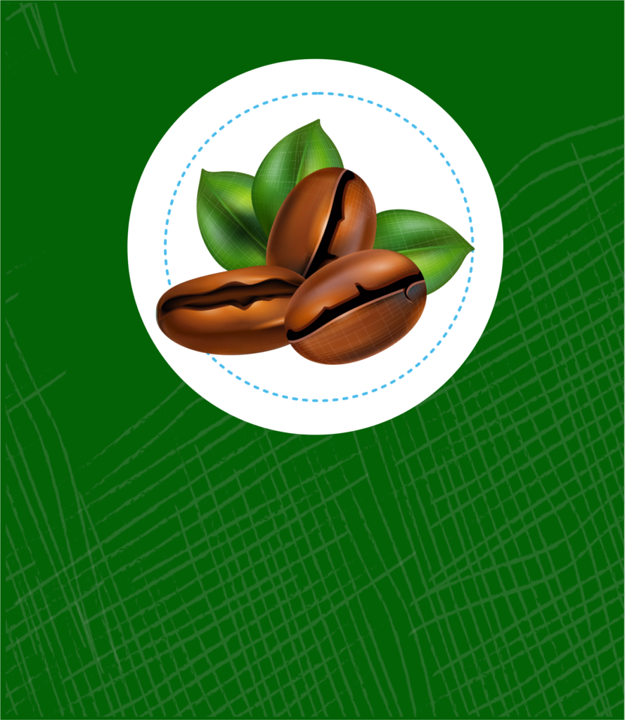 LINEA CAFETERA 2